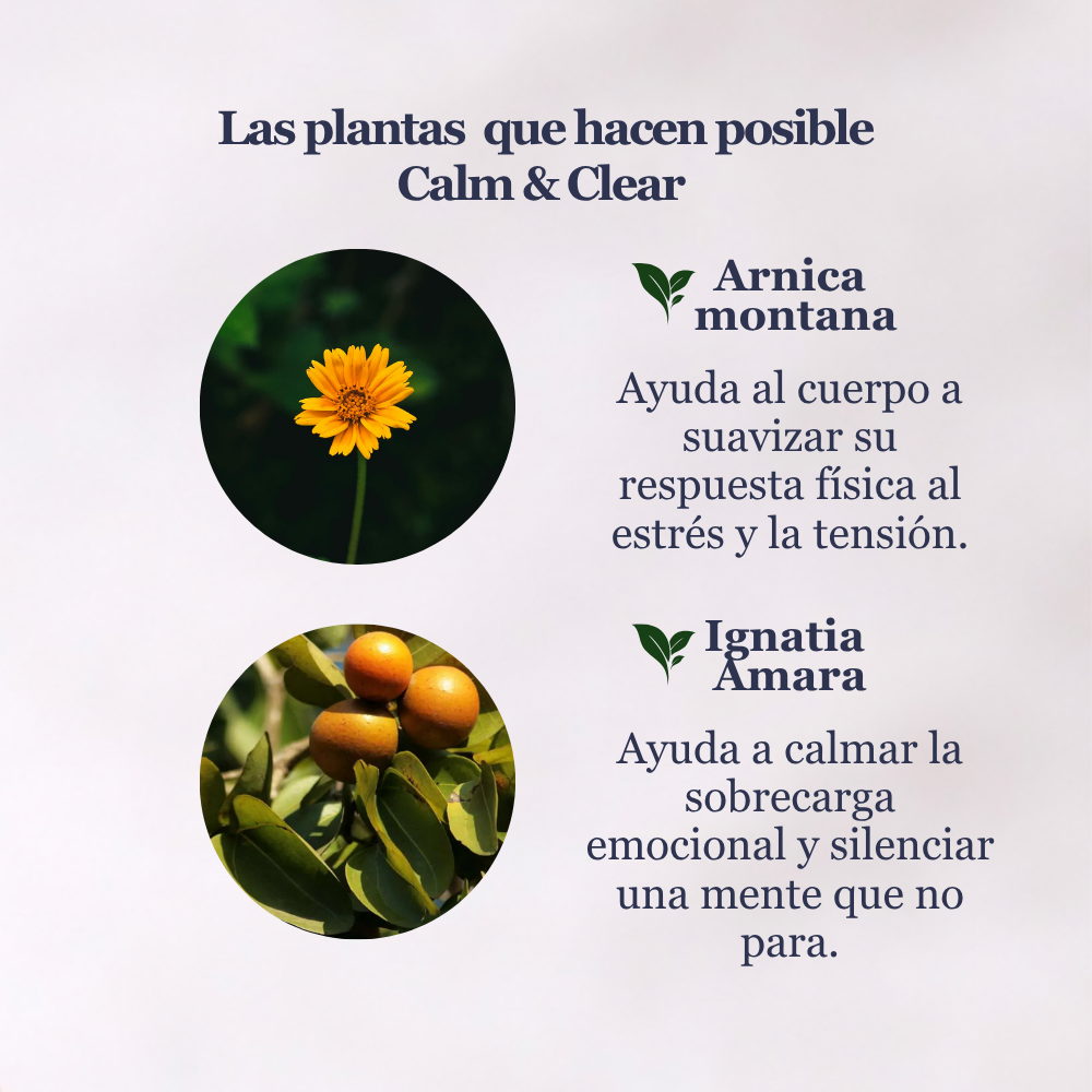 Calm & Clear Español