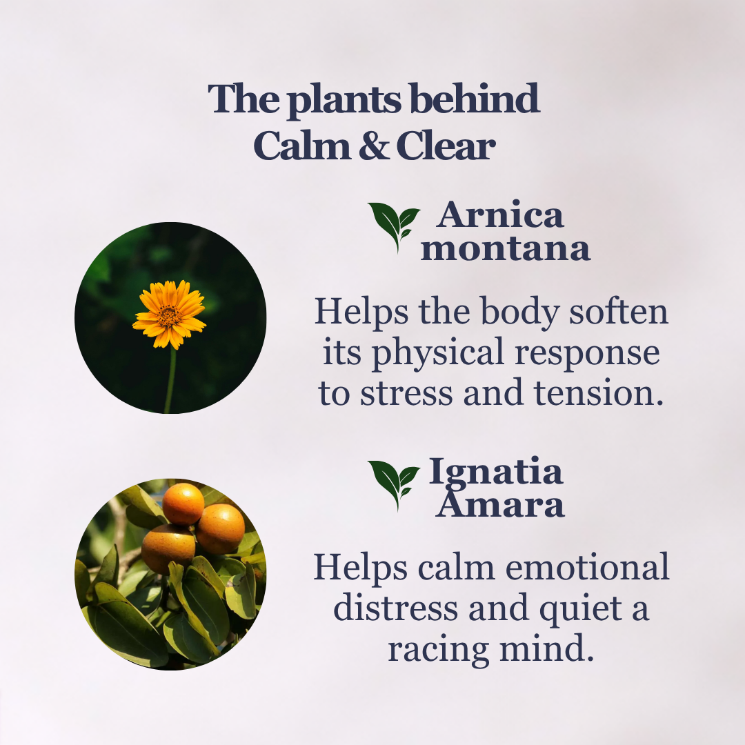 Calm & Clear  — para la mujer que solo quiere sentirse emocionalmente estable de nuevo.
